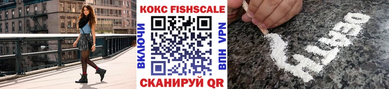 купить наркоту  Тетюши  Cocaine Эквадор 