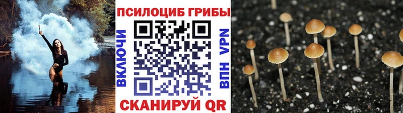 Псилоцибиновые грибы Psilocybine cubensis  блэк спрут маркетплейс  Тетюши 