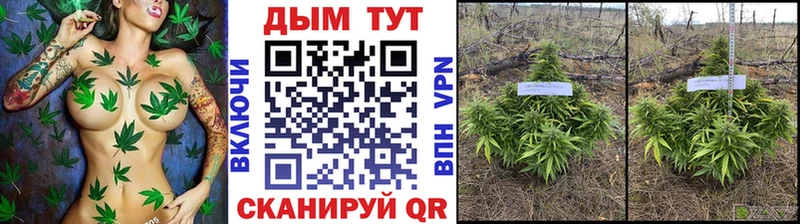 где купить наркоту  Тетюши  Бошки Шишки план 